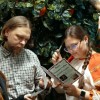 Квест «Седьмая тайна сказки»