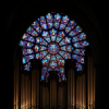 Ночь в соборе «Notre Dame de Paris. Le concert»