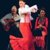 Фламенко