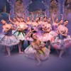 Спящая красавица. Классический балет с видеоэффектами