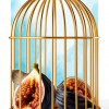 Похищение из сераля (опера Вольфганга Амадея Моцарта)