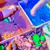 Фестиваль нейросенсорики "В гостях у Вильяма"