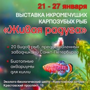 Вставка карпозубых рыб и биотопных аквариумов 2017 фотографии