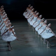 Балет «Лебединое озеро» в Александринском театре фотографии