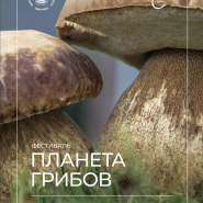 Выставка и фестиваль «Планета грибов» 2025 фотографии