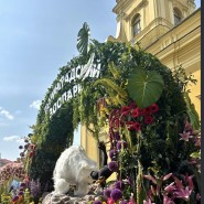 Фестиваль цветов и духовых оркестров в Петропавловской крепости 2026 фотографии