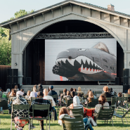 Летние кинопоказы «Кино в парке» на острове Новая Голландия фотографии