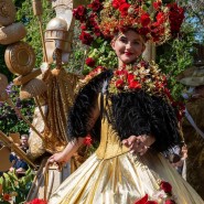 Флористический фестиваль цветов в Санкт-Петербурге 2022 фотографии