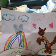 Акция «Поддержи хвостатых» в библиотеках Фрунзенского района 2026 фотографии