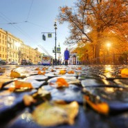 Топ-10 интересных событий в Санкт-Петербурге на выходные 12 и 13 октября фотографии
