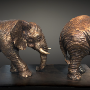Выставка «Стефано Бомбардьери. Мальчик и слон» фотографии