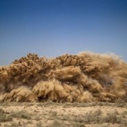 Фотовыставка «В движении» фотографии