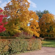 Осенние каникулы в Ботаническом саду 2023 фотографии