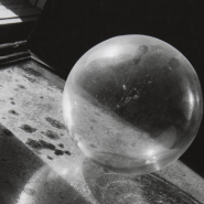 Выставка «Жизнь вещей» фотографии