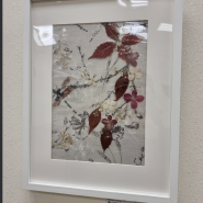 Выставка «Флорийская палитра–2025» фотографии