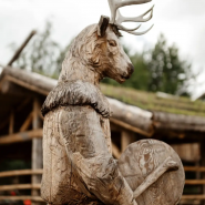 Знакомство с Карелией: хаски, олени, водопады и мраморный каньон Рускеала фотографии