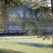 Фестиваль «Тайны Весеннего королевства-2026»  фотографии