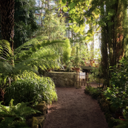 Фестиваль «Ботанический Новый год»2026 фотографии