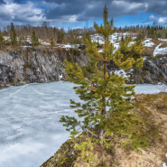 Экскурсия «В Карелию в мини-группе. Рускеальский мрамор и тот самый ретропоезд» фотографии