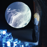 Выставка «Синхронизация» фотографии