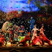 Шоу «OVO Cirque du Soleil» фотографии