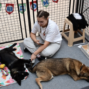 Благотворительный фестиваль «Путь домой» фотографии