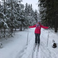 Массовые лыжные старты «Лыжные стрелы-2019» фотографии