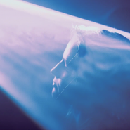 Выставка «Синестезия сцены» фотографии