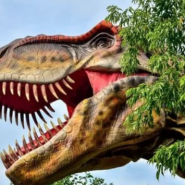 Музей динозавров «Динопарк» работает по выходным дням фотографии