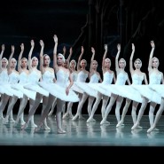Балет «Лебединое озеро» в Мариинском театре фотографии