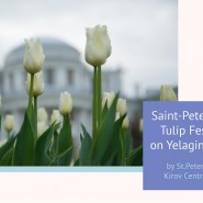 Фестиваль тюльпанов на Елагином острове 2019 фотографии