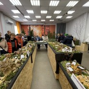 Выставка «Планета грибов 2026» фотографии