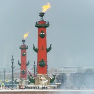 Мероприятия посвященные освобождению Ленинграда от блокады фотографии