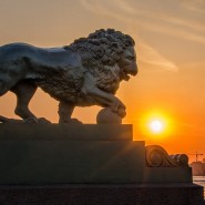 Львы на Дворцовой пристани фотографии