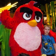 Первоклассный день в в Angry Birds Activity Park фотографии