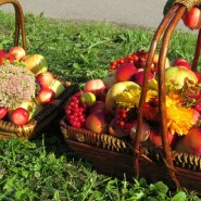 Фестиваль «Яблочный полдень» в Царском селе 2023 фотографии