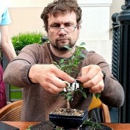 Выставка бонсай в Ботаническом саду 2024 фотографии