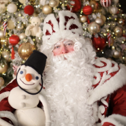 Новогодние спектакли в Сказкином Доме 2025/26 фотографии