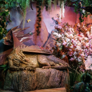 Музей криптозоологии «Бестиарий» фотографии