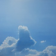 Выставка «Пейзаж с посторонним» фотографии