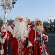 Флешмоб Дедов Морозов на Дворцовой площади 2015 фотографии