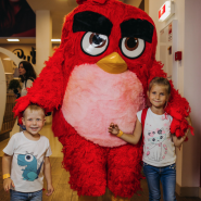 Скидка на посещение Angry Birds Activity Park фотографии
