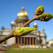 Топ-10 интересных событий в Санкт-Петербурге на выходные с 29 апреля по 2 мая фотографии