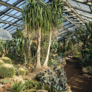 Патриотическая прогулка «Блокадная повесть Ботанического сада» 2026 фотографии