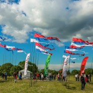 Пушкинский фестиваль воздушных змеев 2016 фотографии