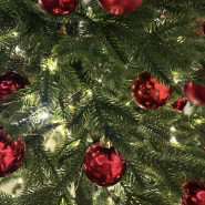 Топ-10 интересных событий в Санкт-Петербурге в выходные 20 и 21 декабря 205 фотографии