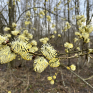 Топ-10 интересных событий в Санкт-Петербурге в выходные 4  и 5 апреля 2026 фотографии