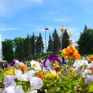 Топ-10 интересных событий в Санкт-Петербурге на выходные 25 и 26 июля 2020 фотографии