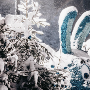 Фестиваль «Зима в Кронштадте» 2026 фотографии