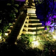 Экскурсия «Реалити-шоу: магия амазонской ночи» фотографии